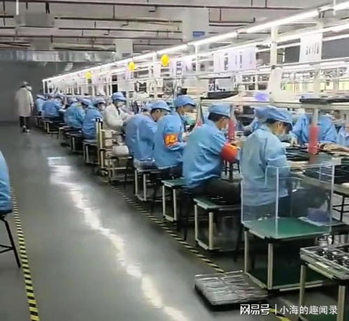 985名校畢業(yè)，三個(gè)月蟬聯(lián)二手包銷售冠軍 學(xué)霸的跨界逆襲