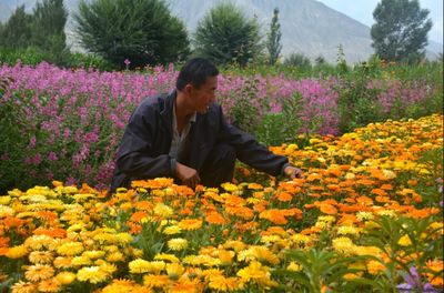 金佛寺鎮(zhèn)花卉種植基地 黨建引領下的豆類產業(yè)新篇章