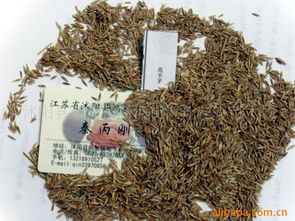 沭陽縣新河鎮(zhèn)新河街鴻翔花卉苗木場花卉種子與種苗產品列表及種植指南